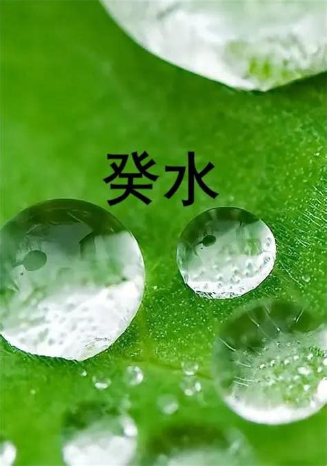 日主壬水|【日主 壬水】解碼「日主 壬水」的力量：從出生日開啟命運轉。